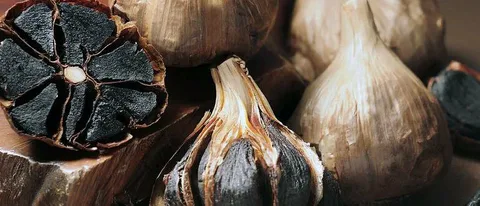 سیر سیاه مشهد تخمیر کنترل شده با کیفیت پایدار